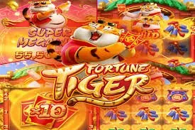 pk8888game What You Agree To When You Use pk8888game